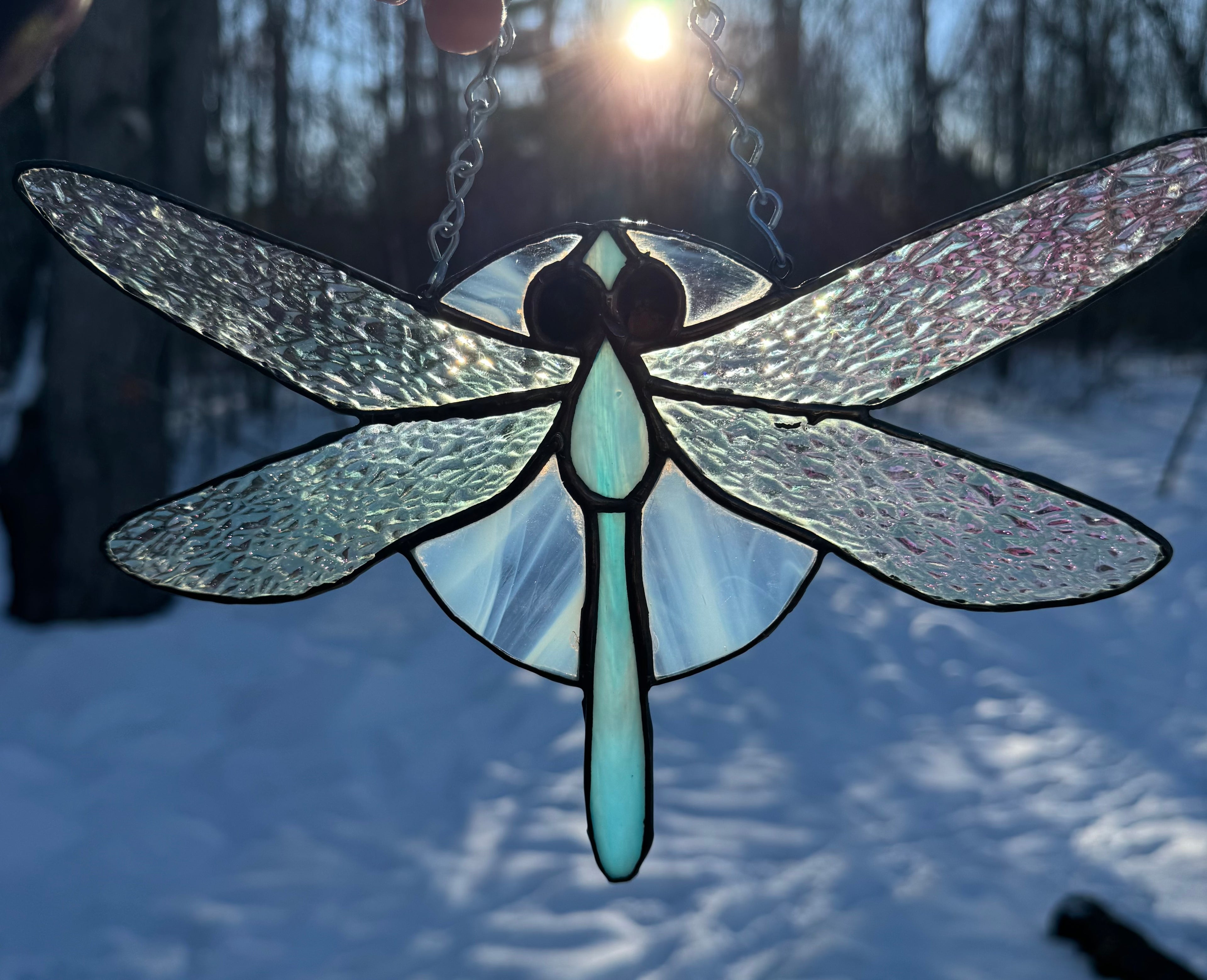 Dragonfly on the Moon
